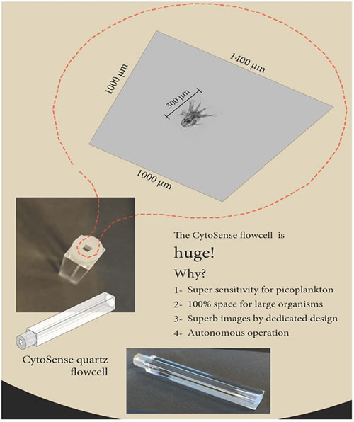 cytosense flowcell.jpg