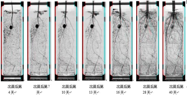 應(yīng)用案例一.JPG